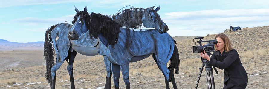 Press about the Bleu Horses